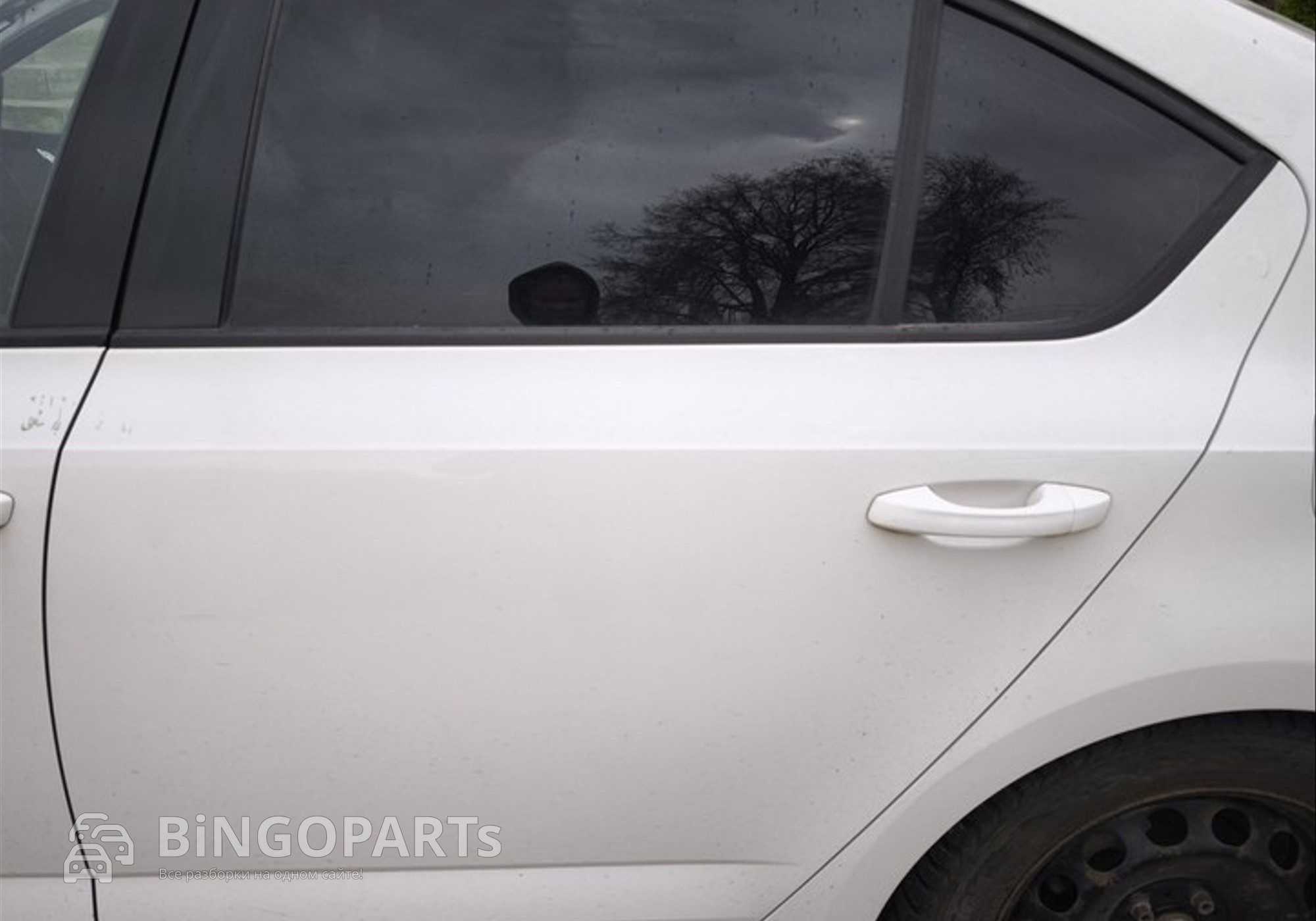 5E5833055B Дверь задняя левая белая для Skoda Octavia III (с 2012)