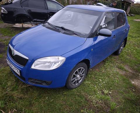 Skoda Fabia II 2009 г. в разборе