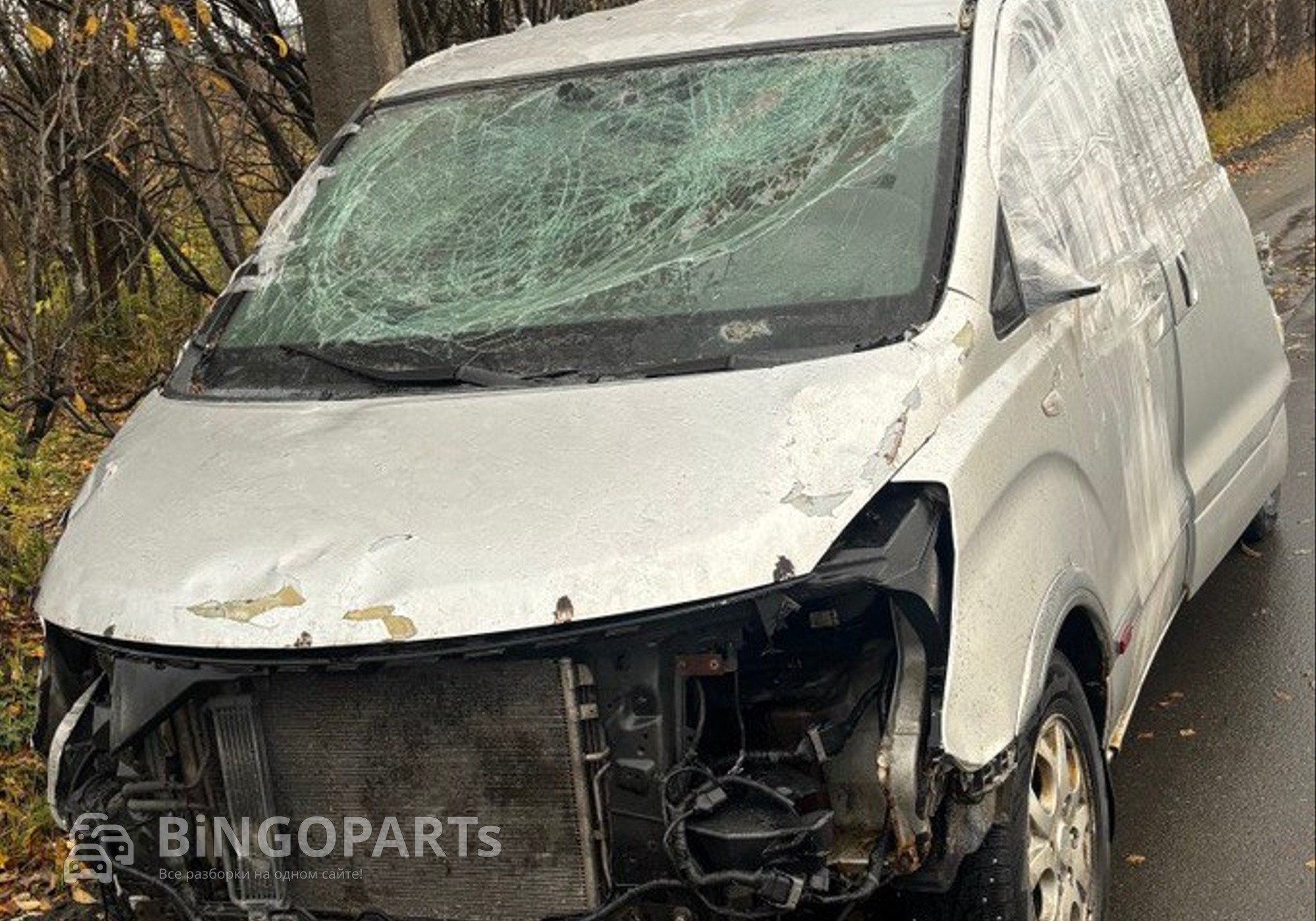 Кузов Grand Starex 2008 для Hyundai Grand Starex (с 2008)