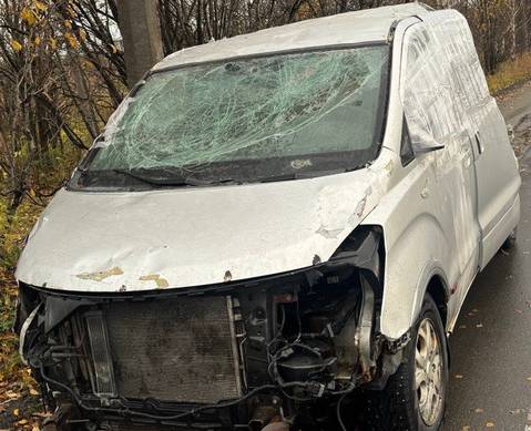 Кузов Grand Starex 2008 для Hyundai Grand Starex (с 2008)