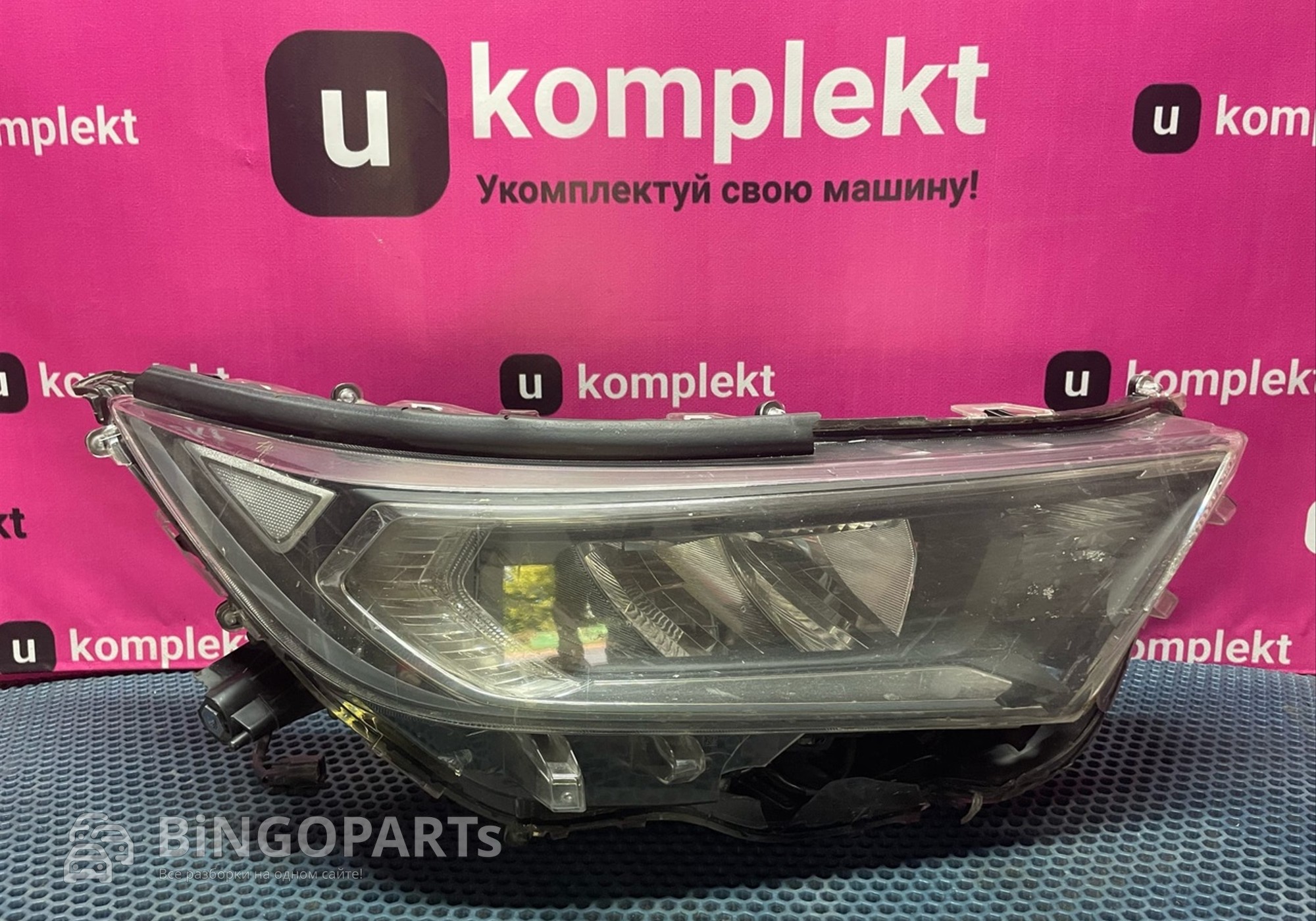 8114542840 Фара правая R для Toyota RAV4 XA50 (с 2018)