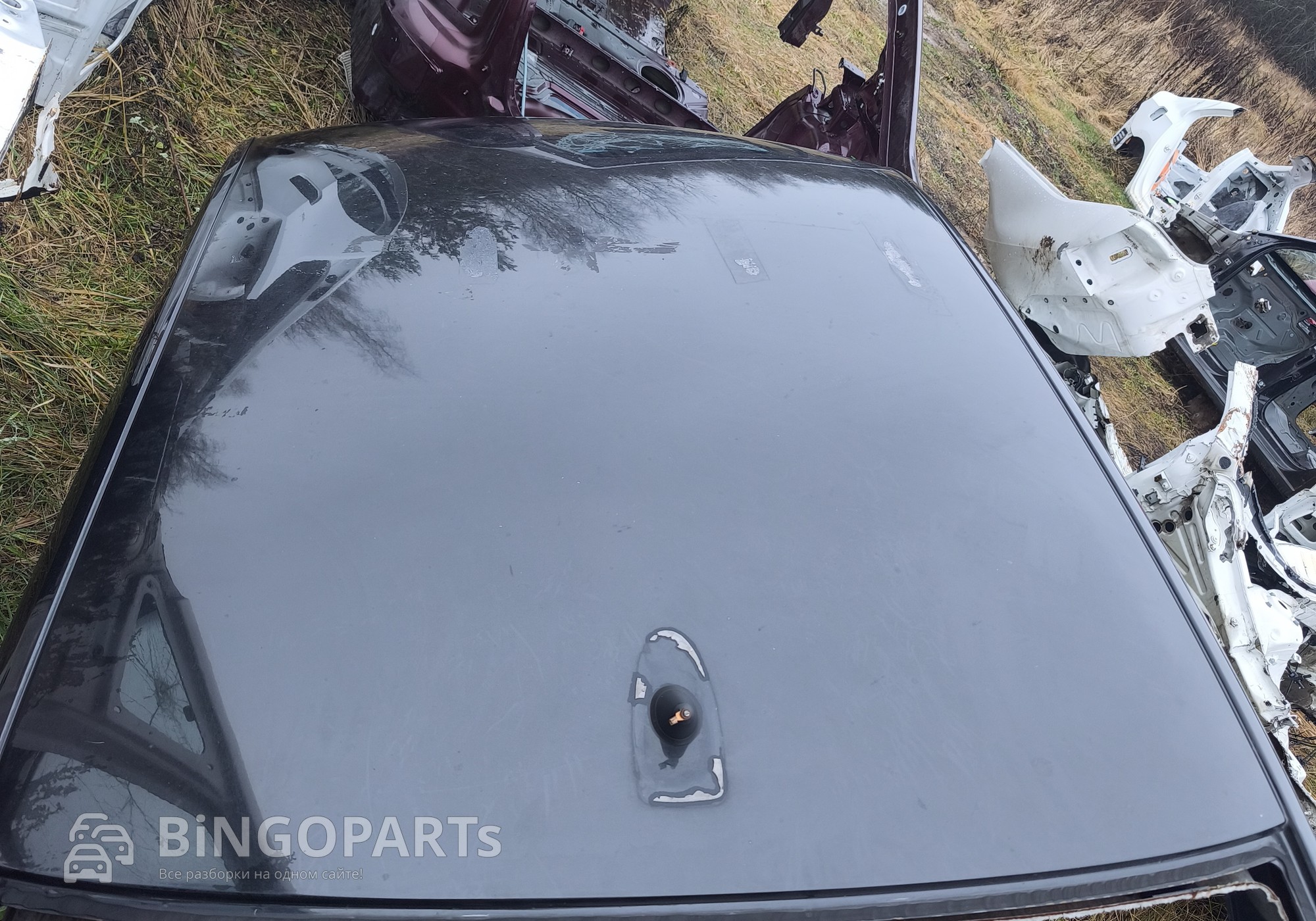 6RU817111 Крыша черная для Volkswagen Polo V (с 2009 по 2020)