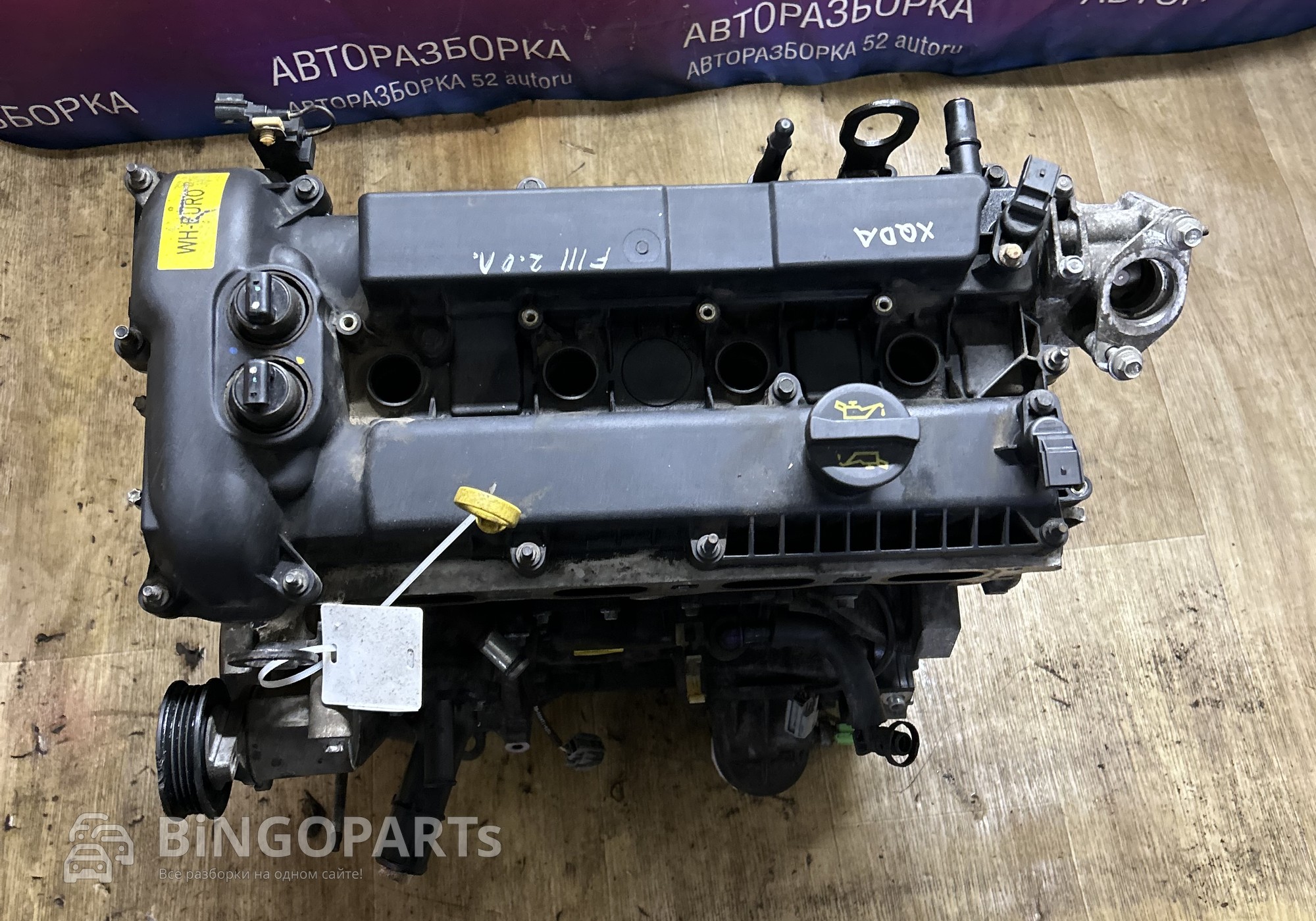 Двигатель Форд Фокус 3 2.0 XQDA для Ford Focus III (с 2011 по 2019)