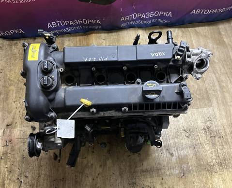 Двигатель Форд Фокус 3 2.0 XQDA для Ford Focus III (с 2011 по 2019)