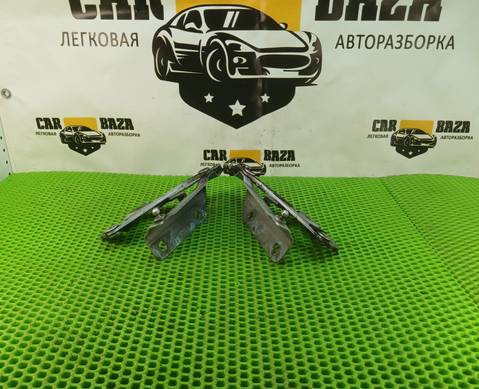 6H5216800AC Петли капота (комплект) для Land Rover Freelander II (с 2006 по 2014)