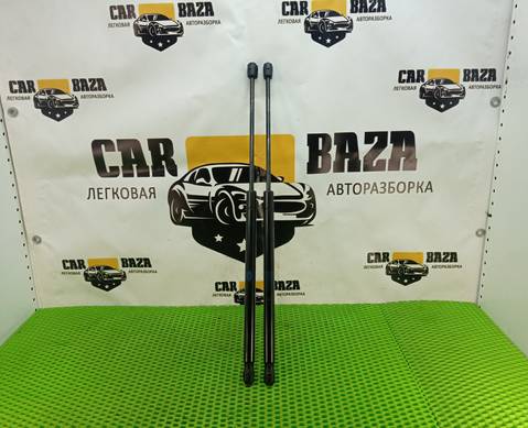 BHE790020 Амортизаторы стекла багажника для Land Rover Range Rover Sport I (с 2005 по 2013)