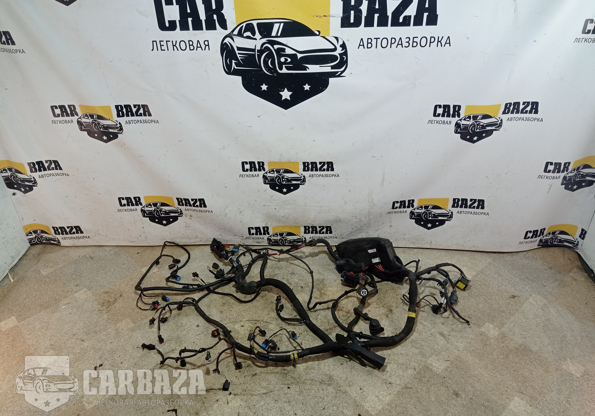 EJ3212A690 Проводка двигателя 2.2 224DT для Land Rover Range Rover Evoque (с 2011)