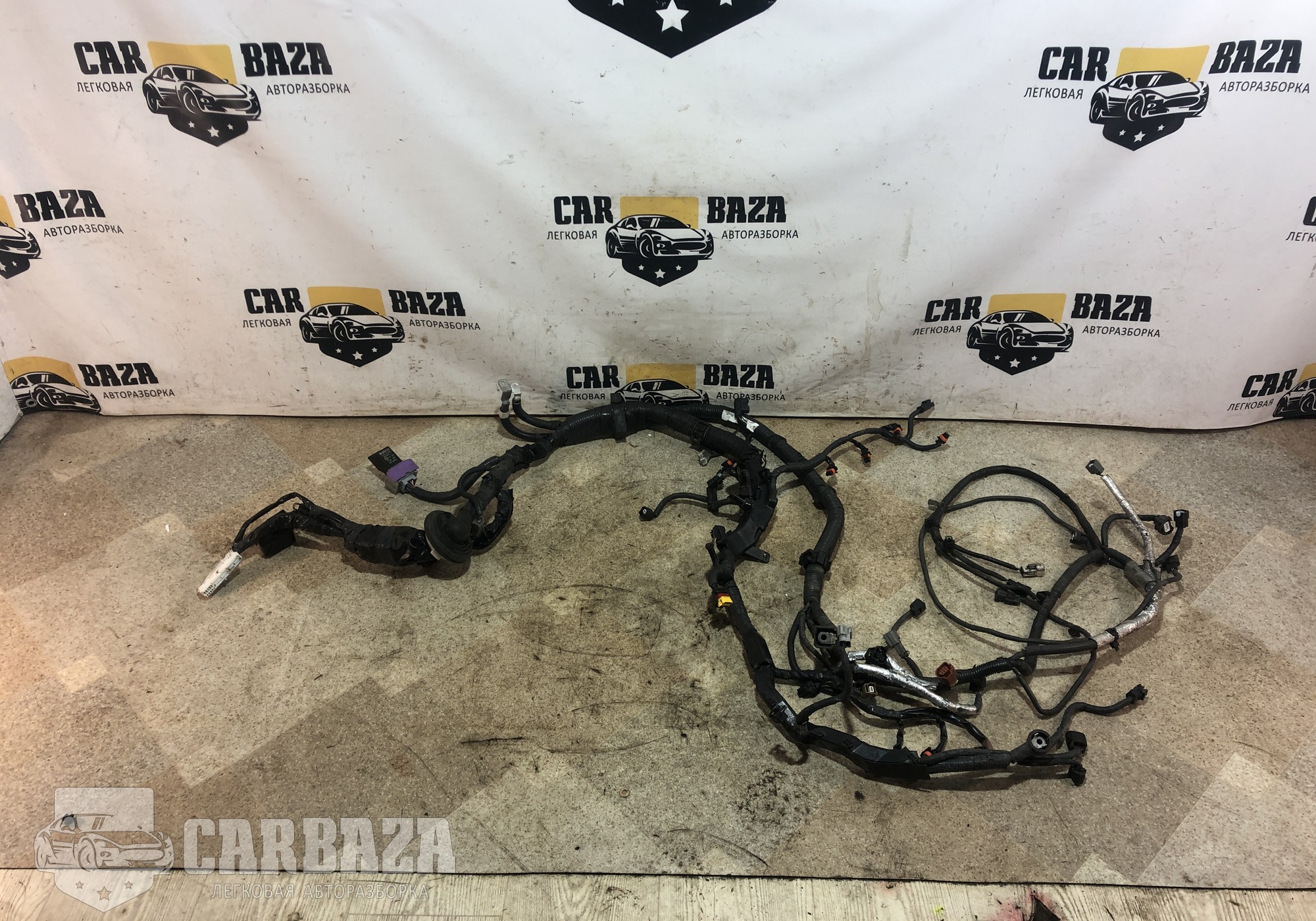 240123FZ0D Проводка двигателя