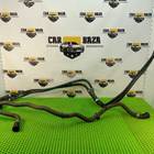 31368524 Патрубки системы охлаждения акпп для Lexus LS