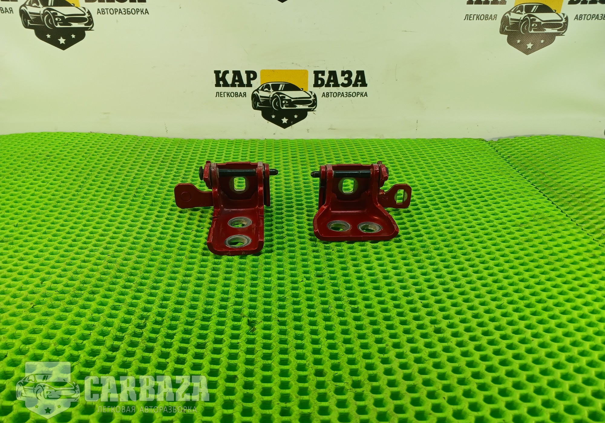 9035X9 Петли двери задней левой