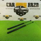 6H52406A10AG Амортизаторы багажника (комплект) для Land Rover Freelander II (с 2006 по 2014)