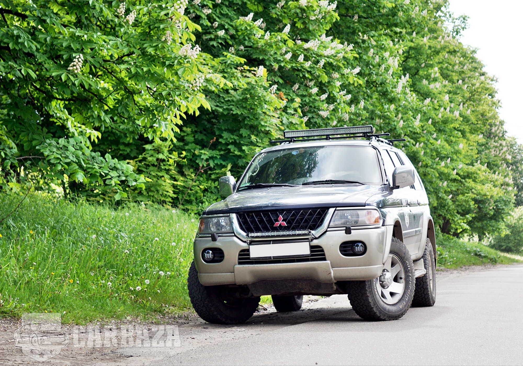 Mitsubishi Pajero Sport I 2008 г. в разборе