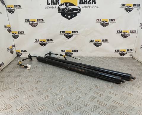 905603FY0A Амортизаторы багажника для Infiniti FX II (с 2008 по 2013)