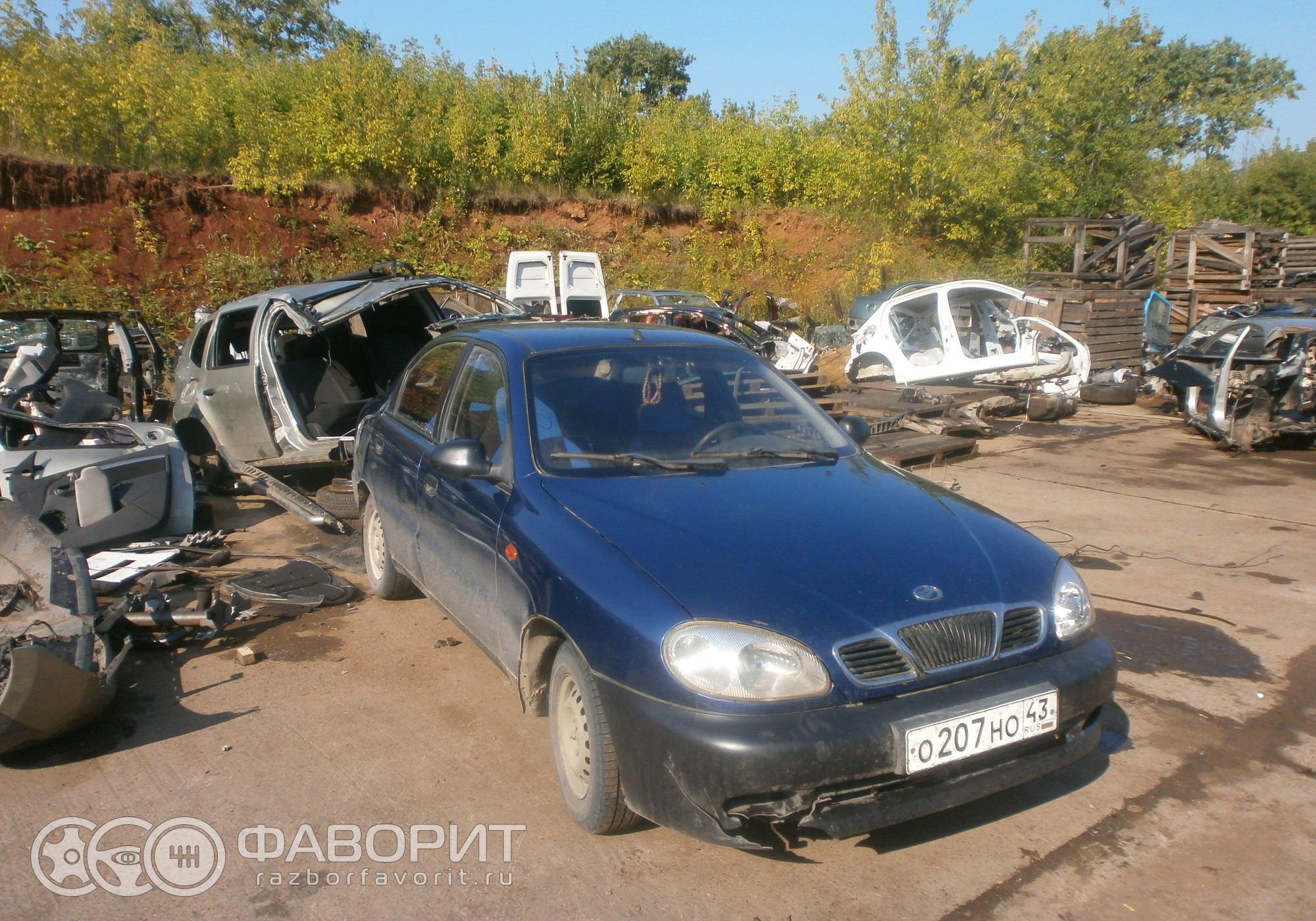 Задняя полка на заз шанс