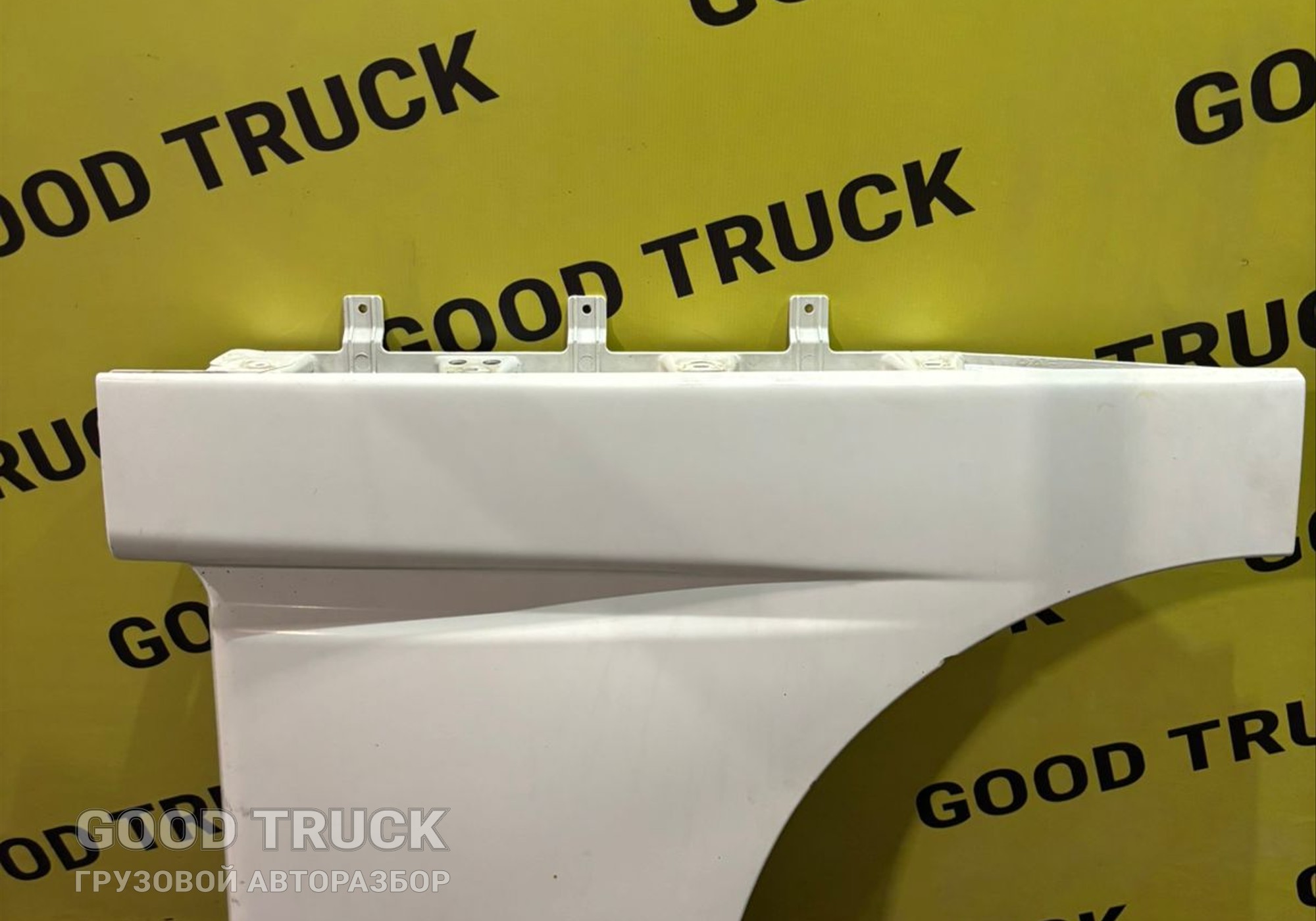 1295619 Продолжение двери левой Daf XF105 для Daf XF105 (с 2005)