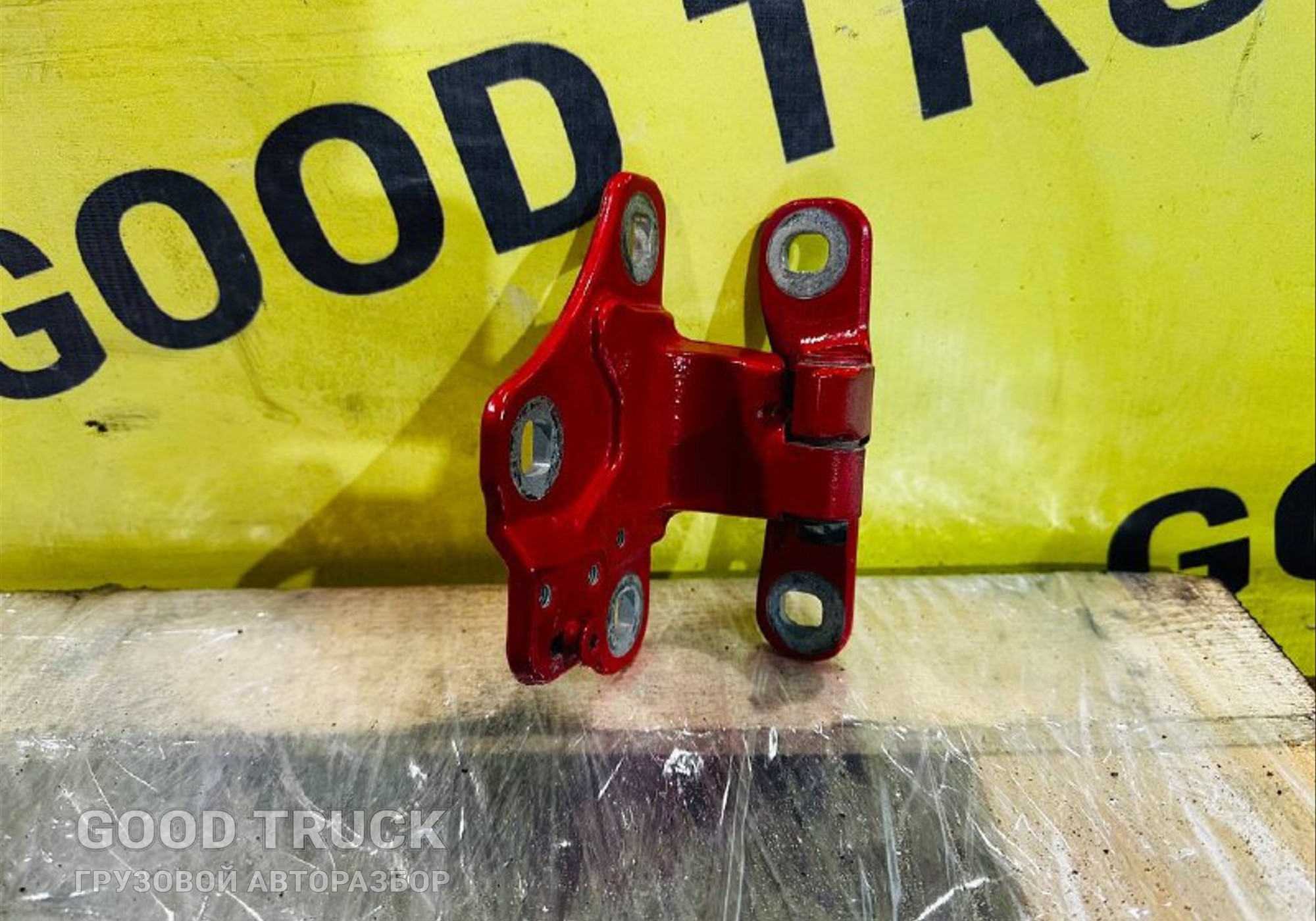 2197027 Петля двери для Daf XG