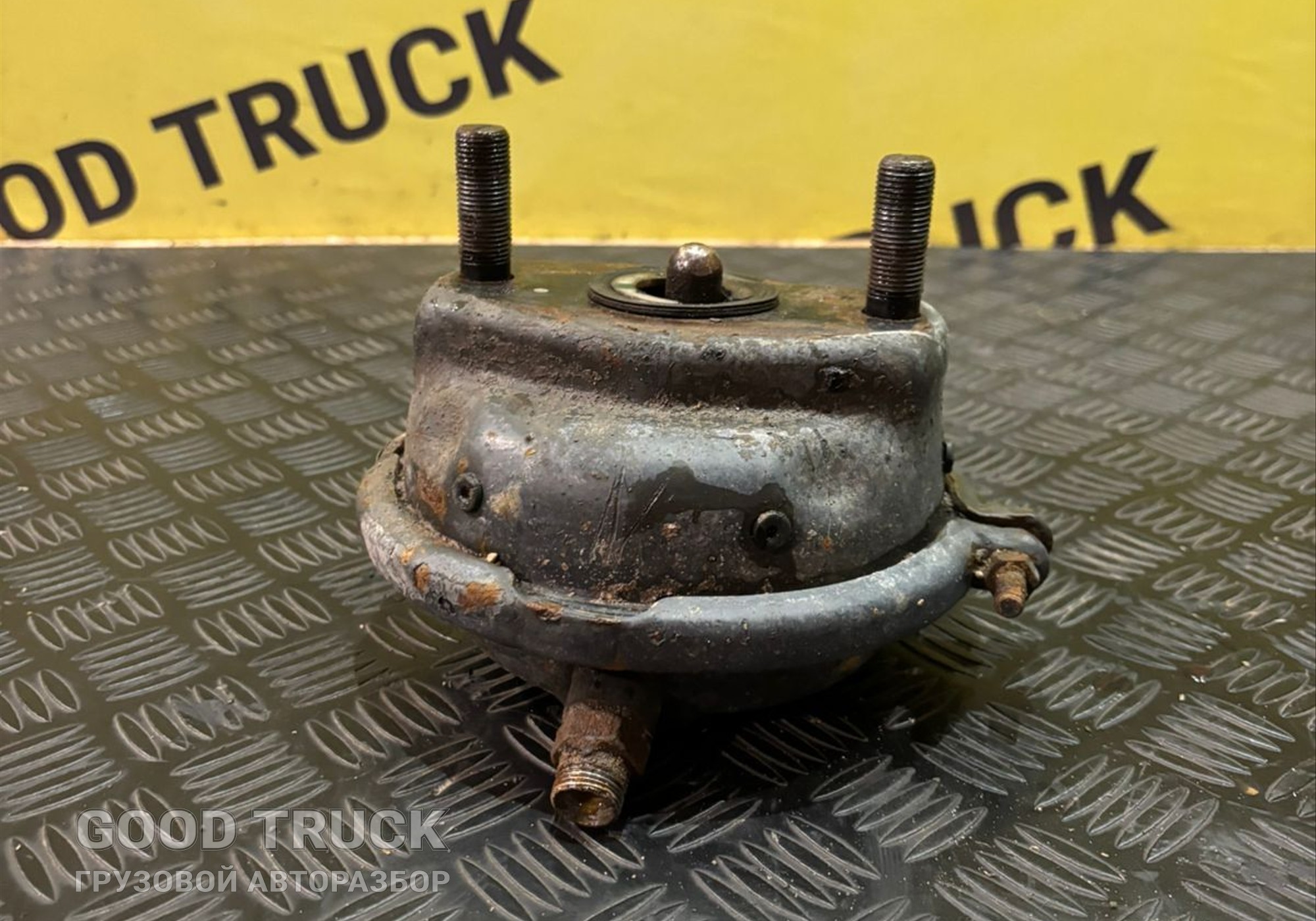 1948381 Энергоаккумулятор тормозной передний для Scania 5-series R (с 2004 по 2016)