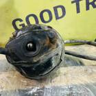 BS4505K039420N00 Камера тормозная для КАМАЗ 5490 (с 2013)