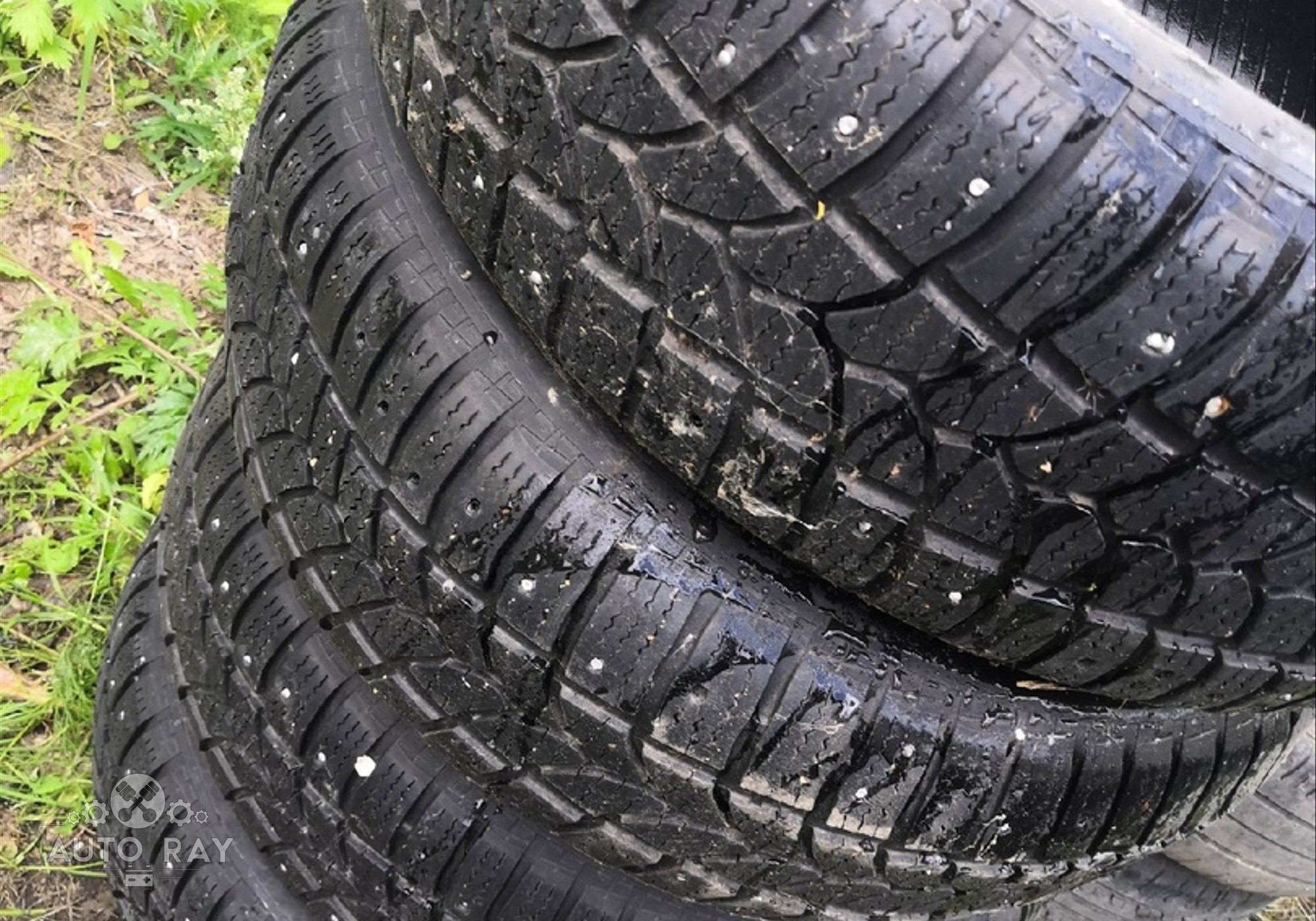 Зимняя резина 16 тигар. Tigar ice winter 205 55. Tigar winter 205/55 r16 94h xl. Зимняя резина 16 тигар. Tigar ice 195/65 r15.