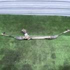 6RU423057J Рейка рулевая для Volkswagen Polo V (с 2009 по 2020)