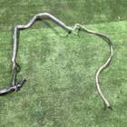 A1668305096 Патрубок системы охлаждения для Mercedes-Benz M-class W166 (с 2011 по 2015)