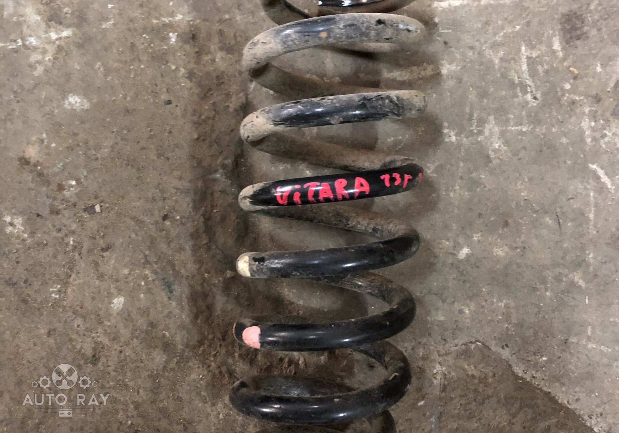 4131165J00 Пружина подвески задняя ! для Suzuki