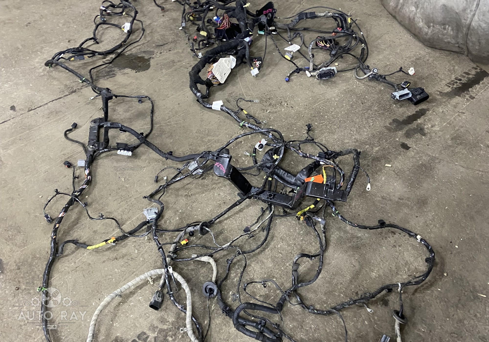 26249375 Электропроводка салонная для Chevrolet Monza II (с 2019)