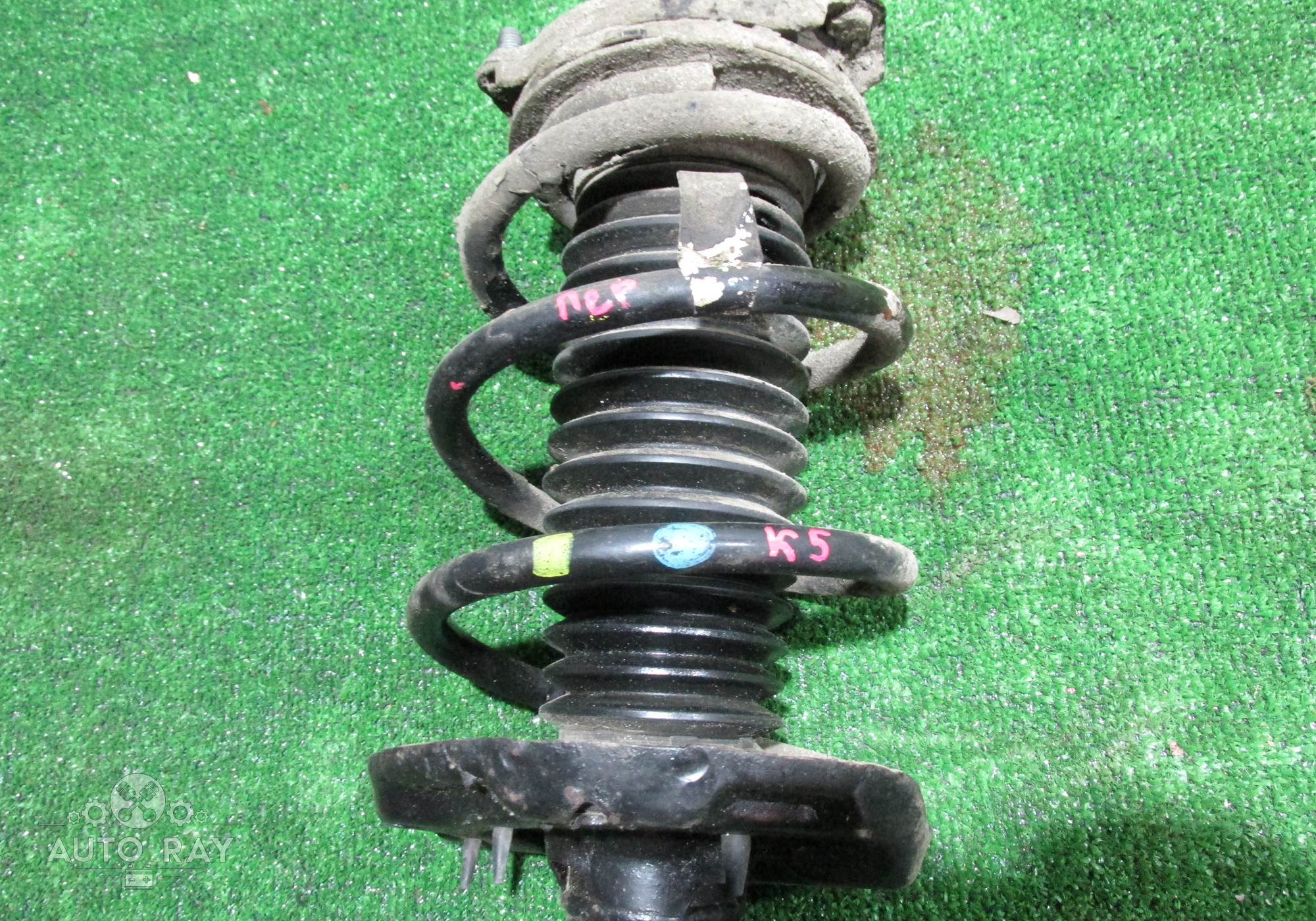 54630L1030 Пружина подвески передняя