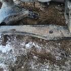 4113A011 Рычаги подвески задний поперечный для Mitsubishi Outlander II (с 2005 по 2013)