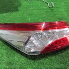 8156033690 Фонарь задний левый наружный для Toyota Camry XV70 (с 2017)