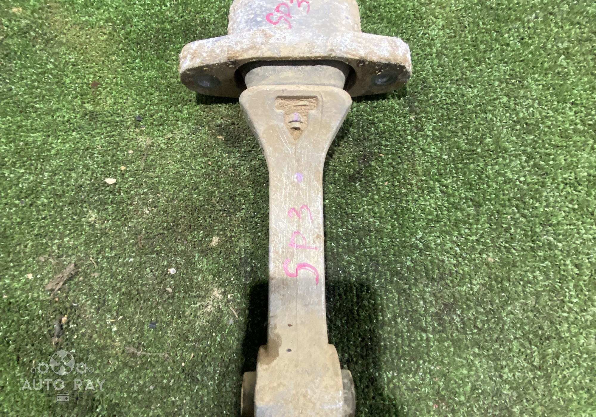 219502S000 Опора двигателя задняя