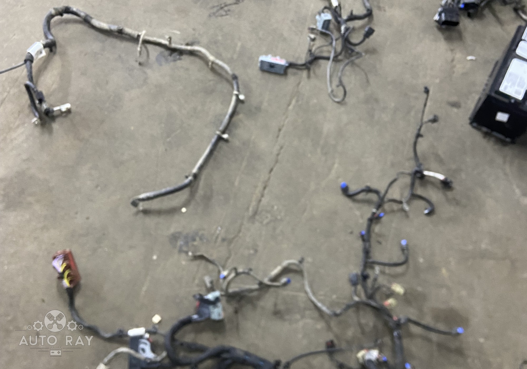 26249379 Электропроводка моторная для Chevrolet Monza II (с 2019)