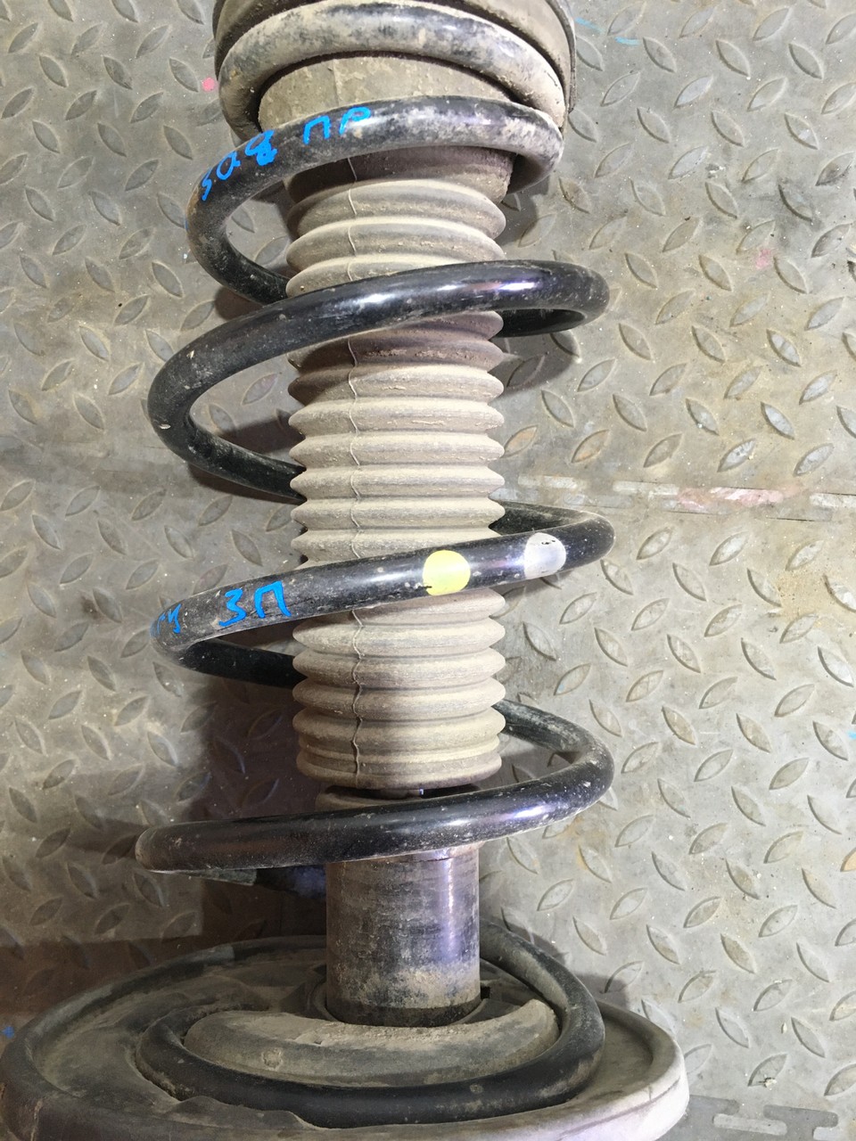 Пружина подвески задняя Toyota Camry XV50