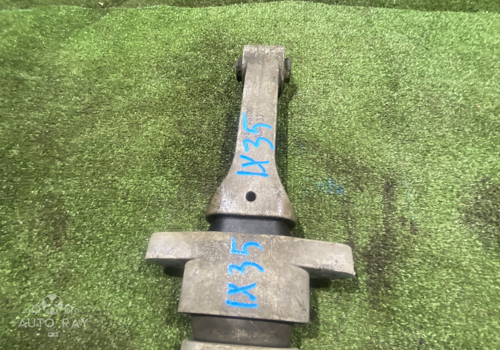 219502S000 Опора двигателя задняя