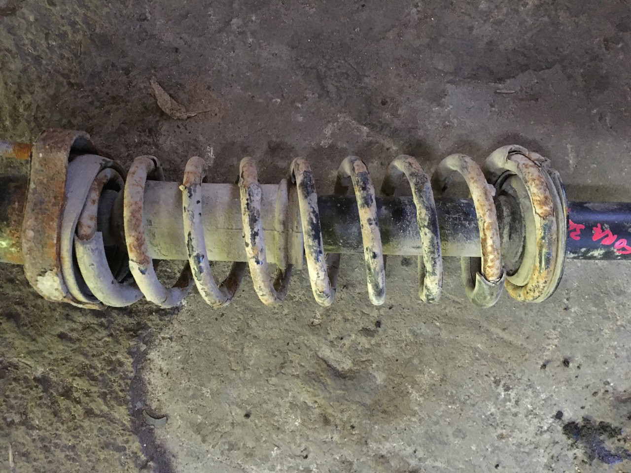 Пружина подвески задняя ! Chery Fora / A5