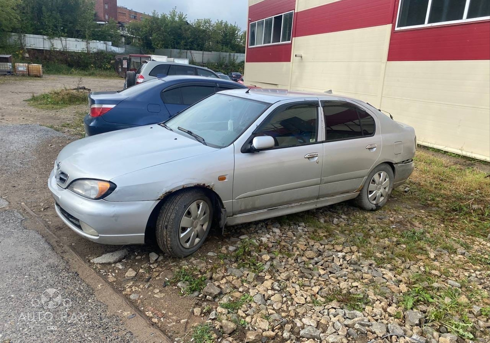 Nissan Primera P11 2001 г. в разборе