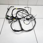 8890500004 Электропроводка потолка для Geely Tugella (с 2019)