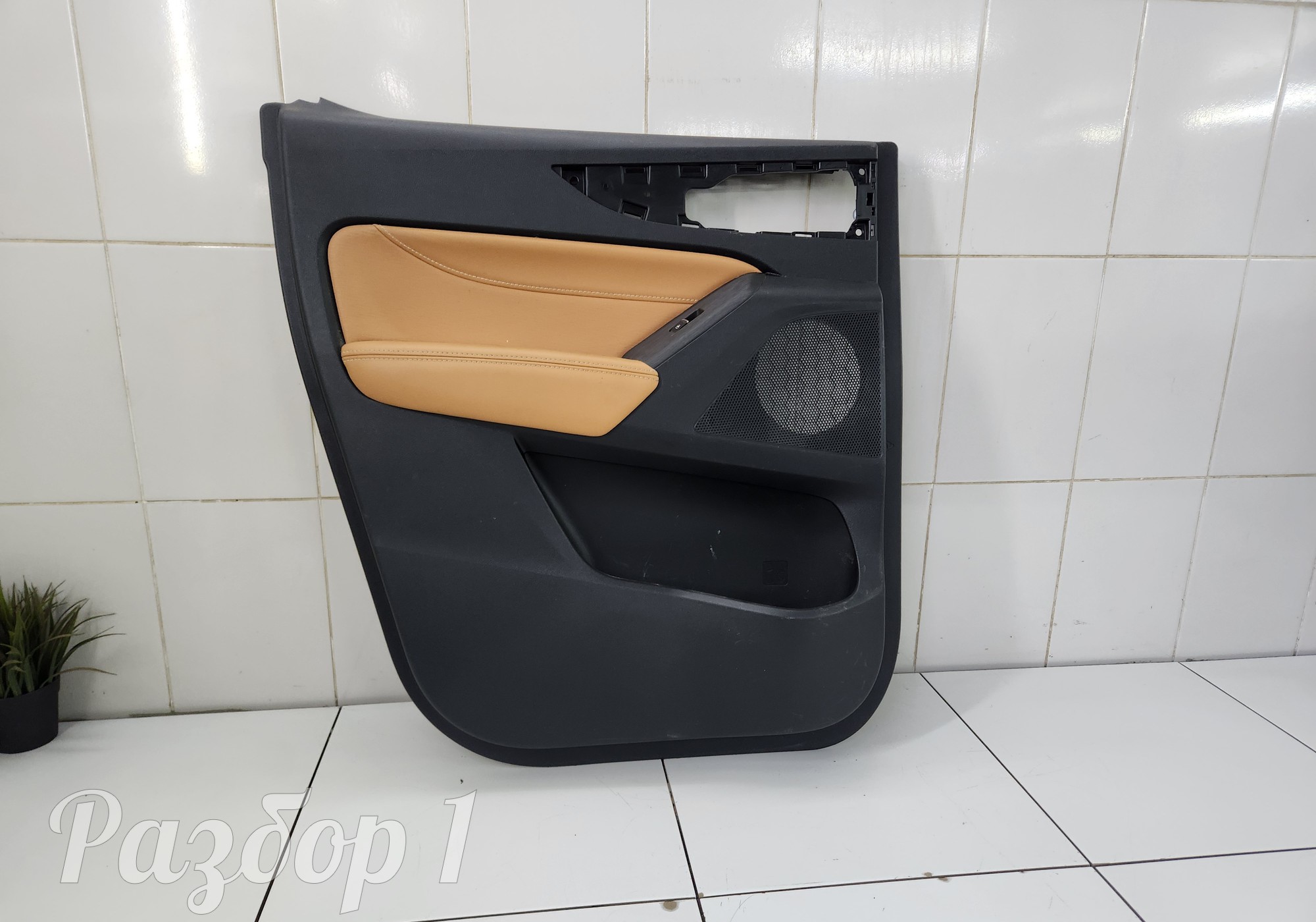 6202150XPW01A Обшивка задней левой двери для Great Wall Poer (с 2019)