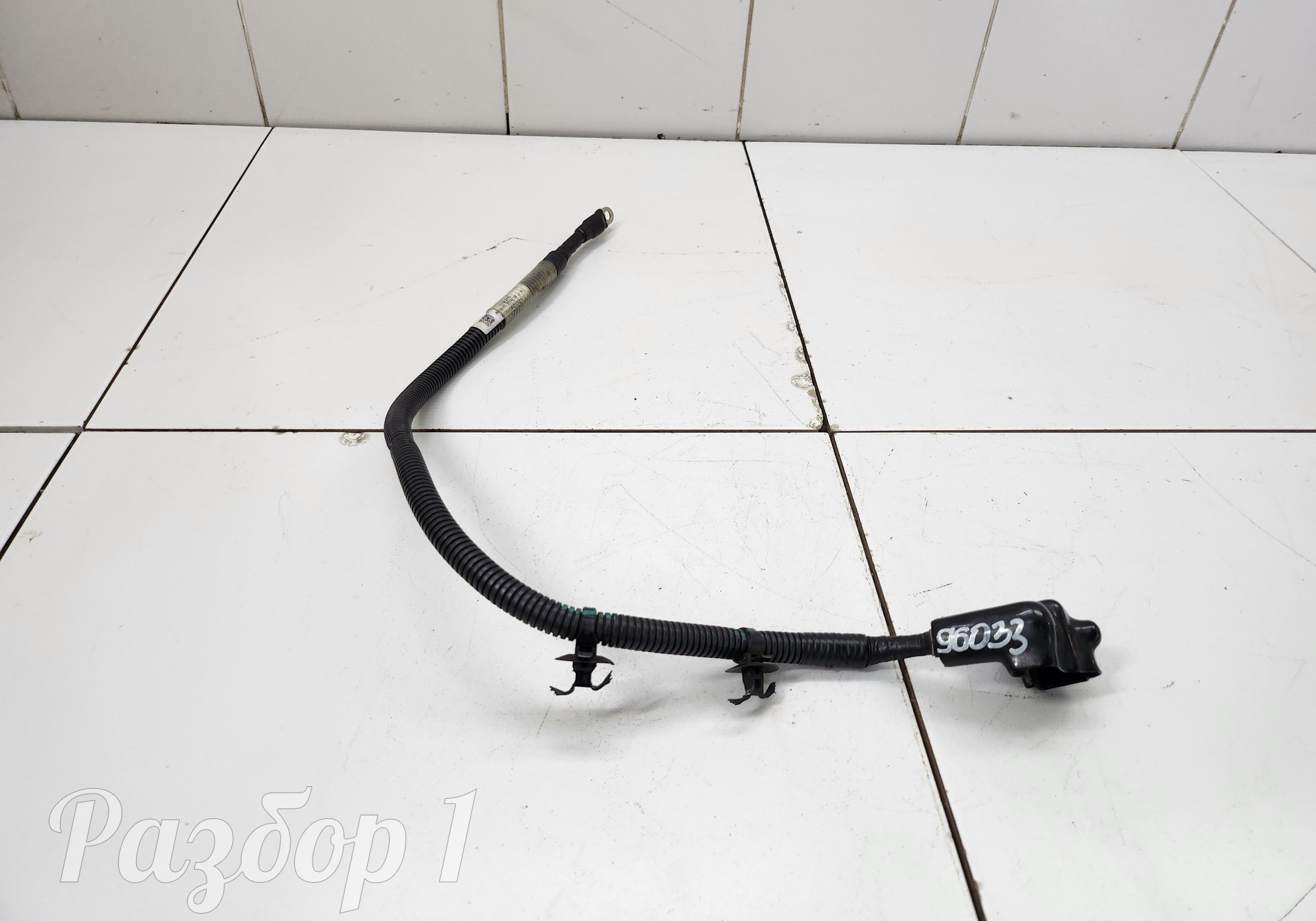 Z900197560 Электропроводка для Evolute i-PRO (с 2022)