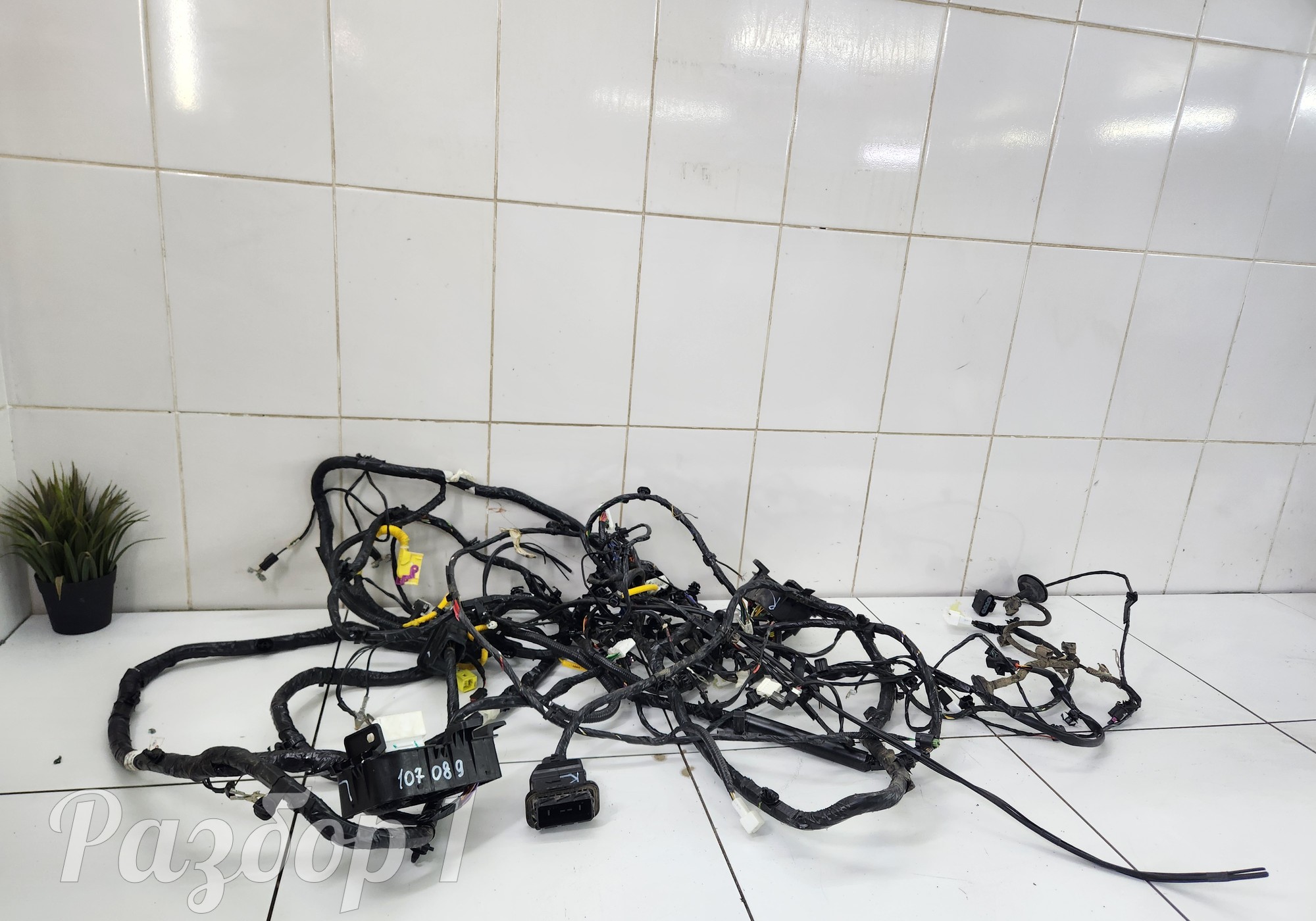 4000020BN137 Электропроводка салона для Changan Eado Plus (с 2020)