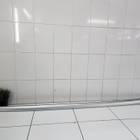 Рейлинг левый для Geely Atlas Pro (с 2021)