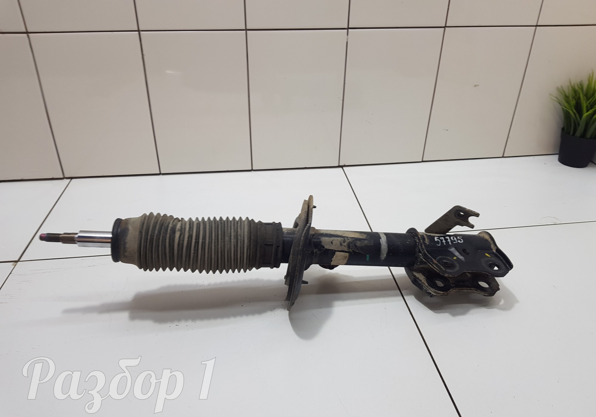 2905113XKQ00A Амортизатор передний правый для Haval F7 (с 2019)