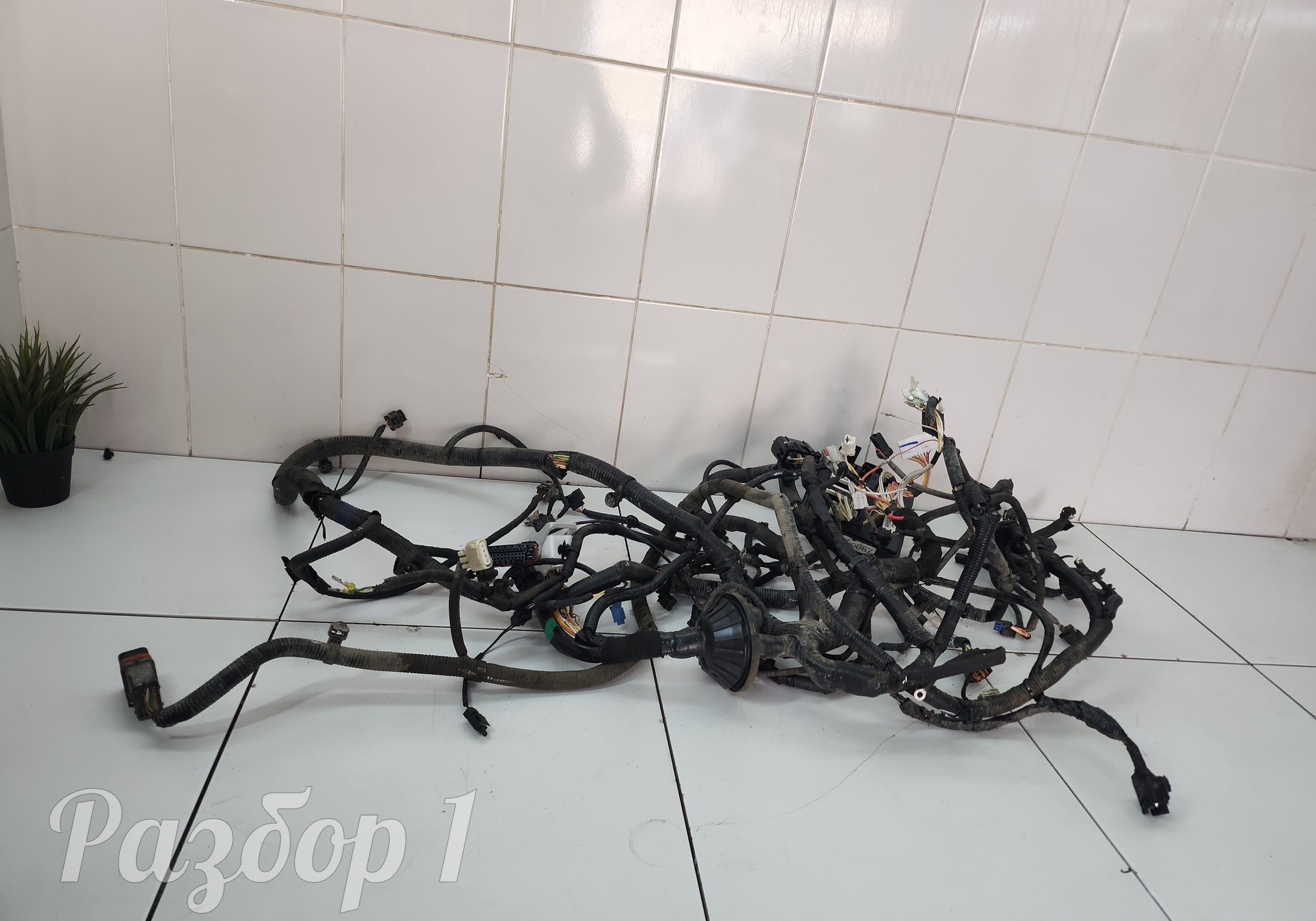 Z900267460 Электропроводка подкапотная для Evolute i-PRO (с 2022)