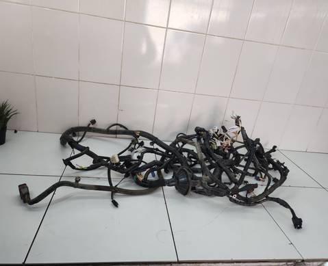 Z900267460 Электропроводка подкапотная для Evolute i-PRO (с 2022)