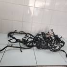 Z900267460 Электропроводка подкапотная для Evolute i-PRO (с 2022)