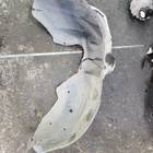 Локер задний правый для Haval H3 (с 2024)