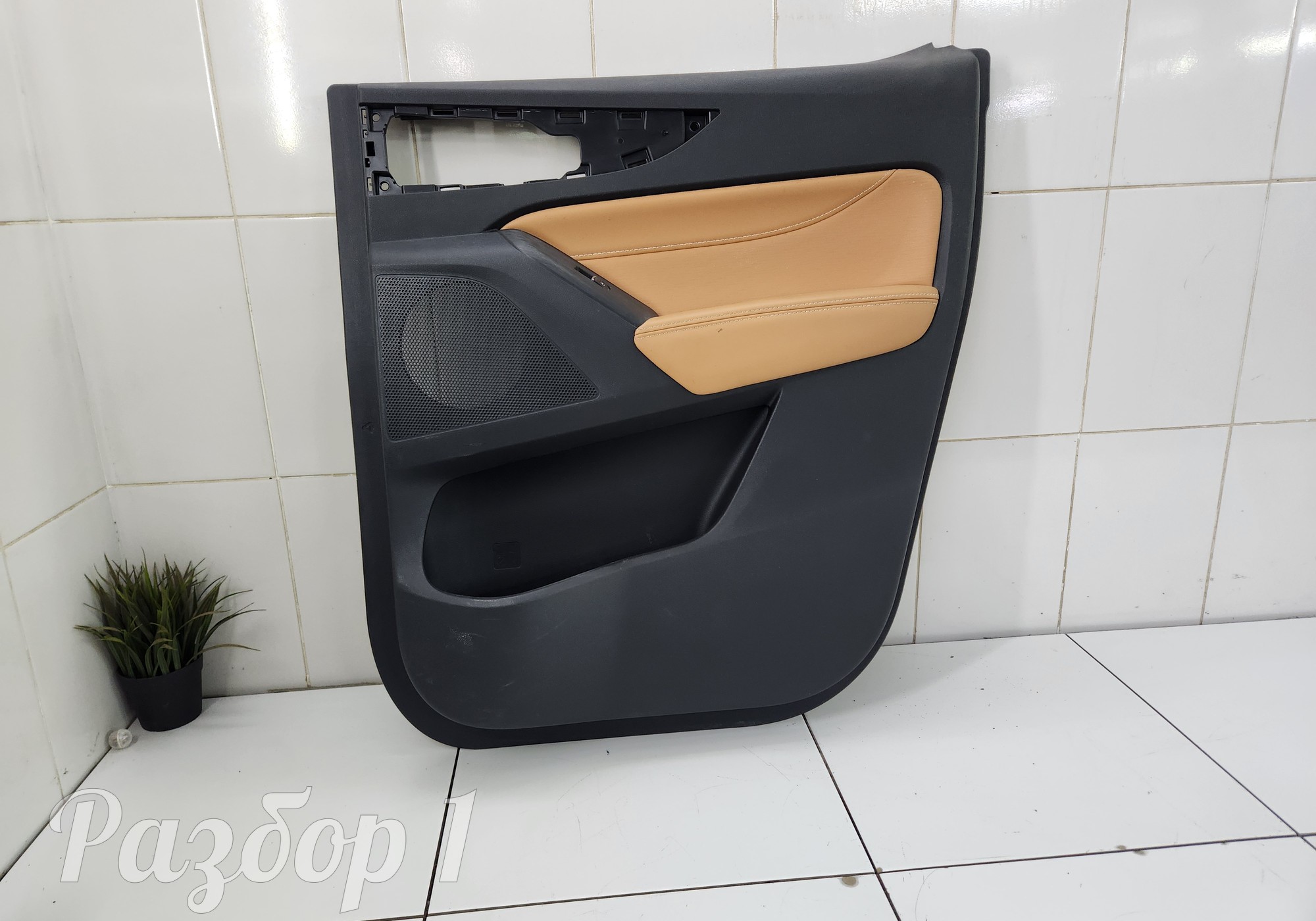 6202160XPW01A Обшивка задней правой двери для Great Wall Poer (с 2019)
