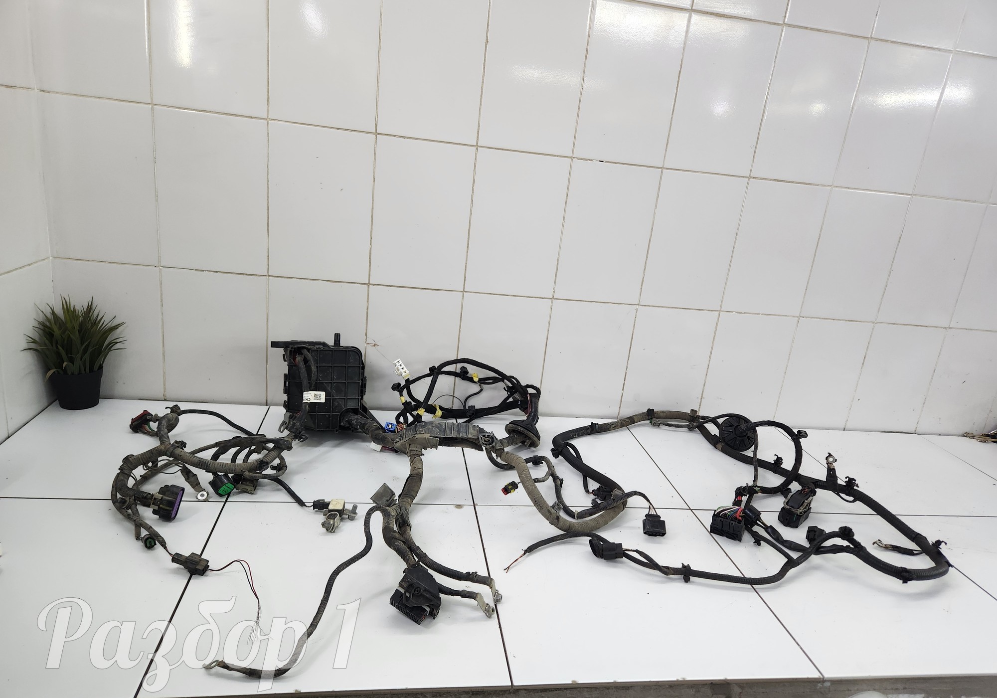 4000030BS18 Электропроводка подторпедная для Changan Alsvin (с 2018)