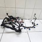 806015854AA Электропроводка подкапотная для Jaecoo J8 (с 2024)