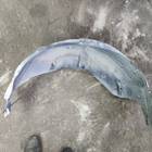 Локер задний левый для Haval M6 II (с 2021)